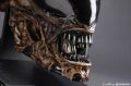 Sideshow Alien 1:1 Bust статуя фигура, снимка 5