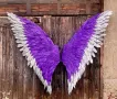 Двуцветни крила за декорация , снимка 1