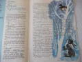 Списание "Дружинка - книжка 2 - февруари 1967 г." - 16 стр., снимка 3