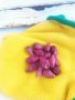 Студоустойчиви кактуси Опунция (Бодлива круша) подходящи за Вашата красива градина, снимка 3