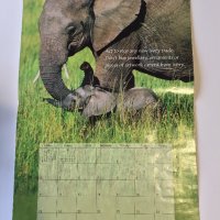 Стенен календар 2006 IFAW Animal Sanctuary Fund, снимка 10 - Други - 38776709