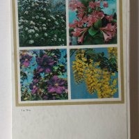 Енциклопедия Стайни растения и декоративно цъфтящи храсти на руски Цветы, снимка 3 - Енциклопедии, справочници - 39971976