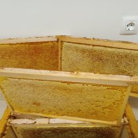 пчелен мед от производител 2023г, снимка 9 - Пчелни продукти - 27698721