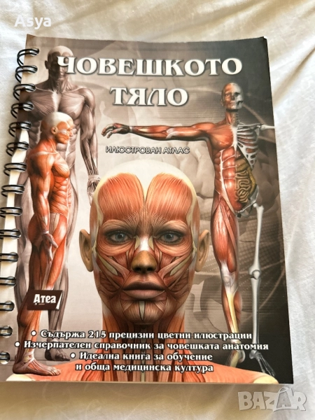Учебник по анатомия  човешко тяло, снимка 1