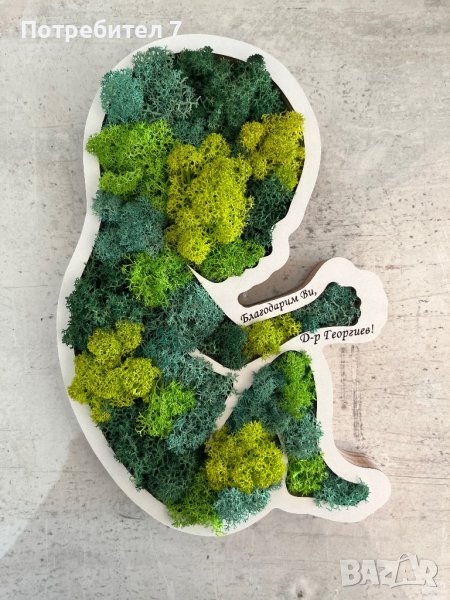 Бебе със скандинавски мъх , снимка 1