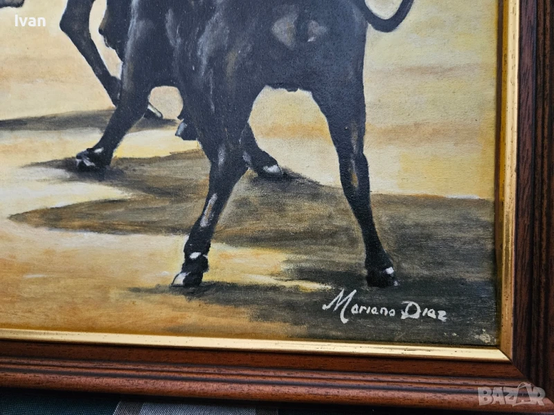 Маслени картини , снимка 1