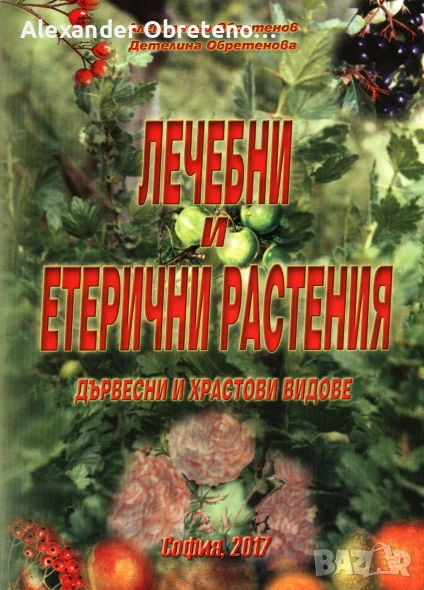 Лечебни и етерични растения – дървесни и храстови видове, снимка 1