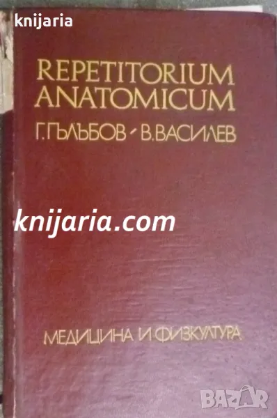Repetitorium anatomicum (Репетиториум по анатомия), снимка 1