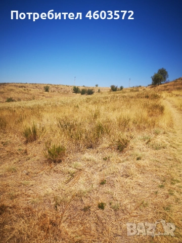 Собственик продава 3 броя парцели, снимка 4 - Парцели - 51817495