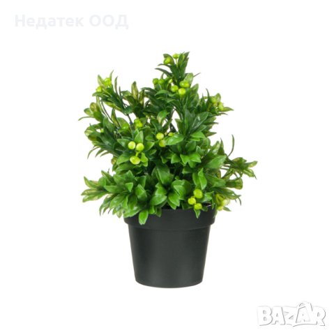 Декоративна саксия, за зеленина, с бели плодове, 25см