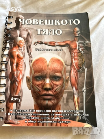 Учебник по анатомия  човешко тяло
