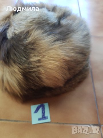 Шапки,естествен косъм,каскети,ушанки,дамски, снимка 6 - Шапки - 38805858