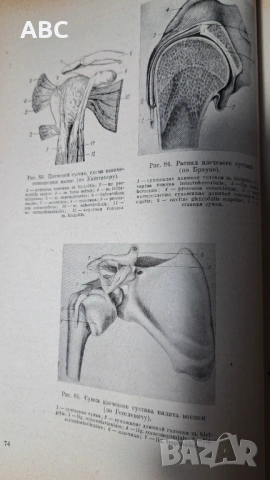 Оперативна хирургия с топографска анатомия, снимка 4 - Специализирана литература - 54241150