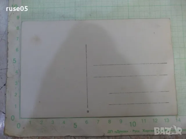 Снимка стара на група младежи с два велосипеда, снимка 2 - Колекции - 47910085