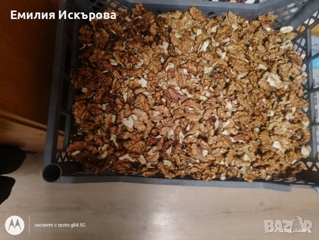 Домашна орехова ядка 2025г.