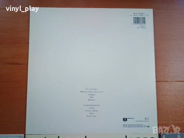 Maxi-Single  Pet Shop Boys и Eurythmics (12 inch Vinyl), снимка 8 - Грамофонни плочи - 51011948