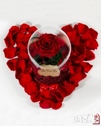 Подарък за Годишнина / Естествена Вечна Роза в Голяма Стъкленица / Оригинален Подарък за Жена, снимка 6 - Други - 34470749