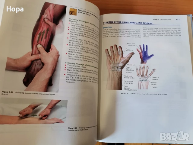 Учебници на английски език за масажисти, снимка 3 - Чуждоезиково обучение, речници - 51348706