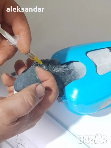 Пистолет за ваксиниране 10мл за птици и други животни , снимка 9 - За птици - 50597906