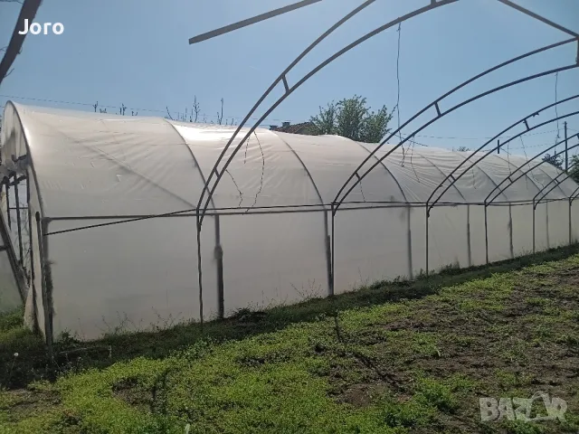 Ферми-оранжерии два размера, снимка 6 - Оранжерии - 49968385