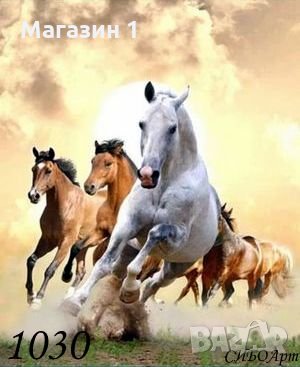 Диамантен гоблен код 1030