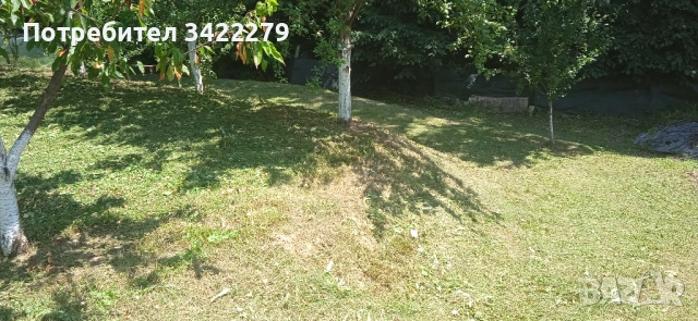 Опасни дървета рязане косене непроходима растителност почистване от-до, снимка 8 - Други услуги - 49352802