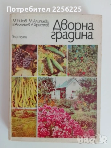 Дворна градина