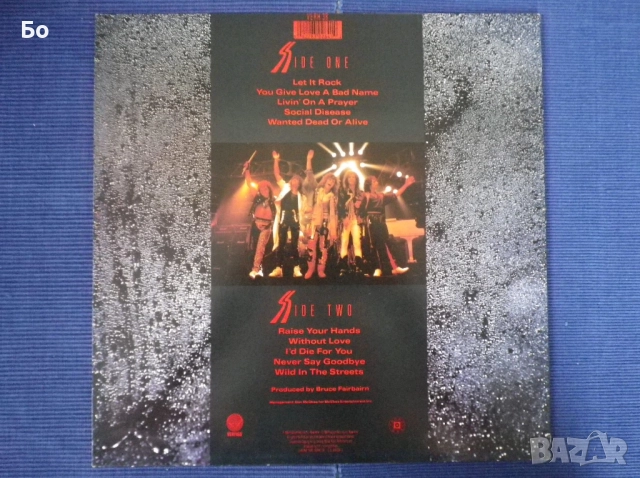 грамофонни плочи Bon Jovi, снимка 9 - Грамофонни плочи - 52325645