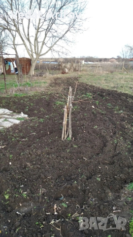 Собственик продава дворно място с малка къщичка 