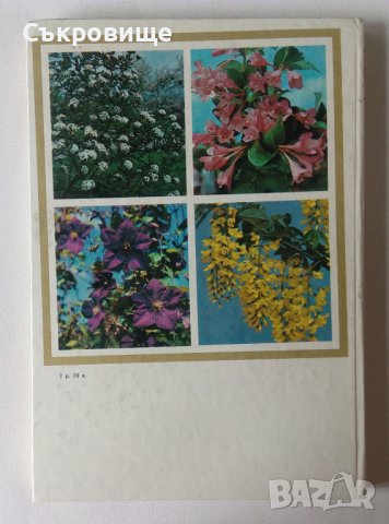 Енциклопедия Стайни растения и декоративно цъфтящи храсти на руски Цветы, снимка 3 - Енциклопедии, справочници - 39971976
