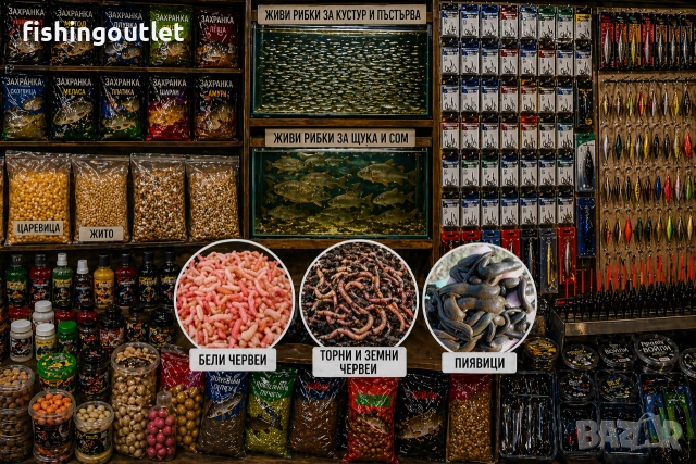 Риболовен магазин за жива стръв, Ботевградско шосе без почивен ден! Бял червей,торен, пиявици, рибки