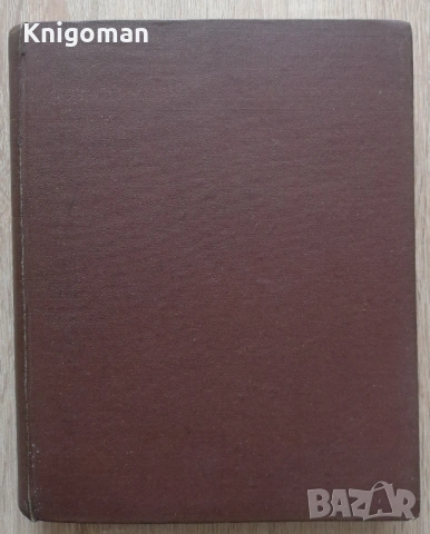 Родна реч, брой 1-10, 1966 г., снимка 11 - Списания и комикси - 53275961