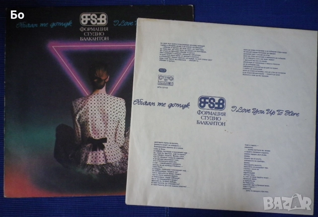 грамофонни плочи ФСБ, снимка 4 - Грамофонни плочи - 37800308