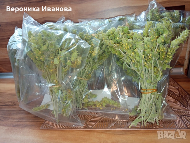 Чай от Родопите , снимка 4 - Хранителни добавки - 54339602