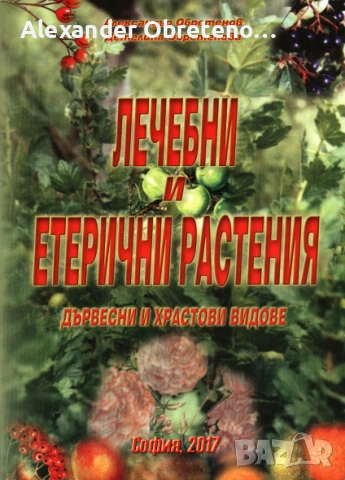Лечебни и етерични растения – дървесни и храстови видове