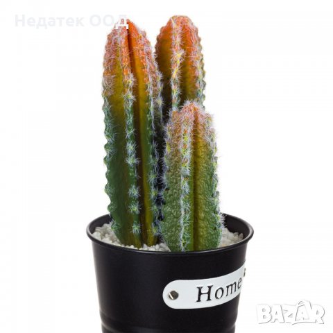 Изкуствени декоративни кактуси Home, 10,5х24см, снимка 2 - Изкуствени цветя - 35589075