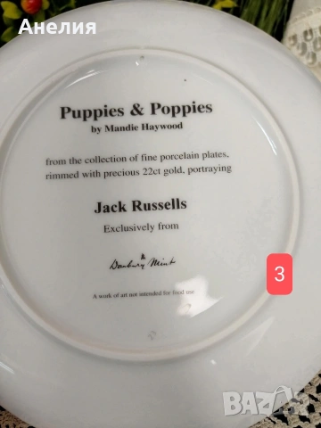 Чинии за стена Джак Ръсел , снимка 7 - Декорация за дома - 54254842