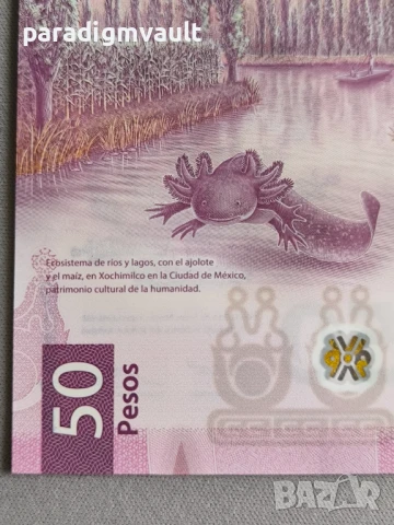 Банкнота - Мексико - 50 песо UNC | 2021г., снимка 4 - Нумизматика и бонистика - 50840824