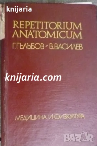 Repetitorium anatomicum (Репетиториум по анатомия)