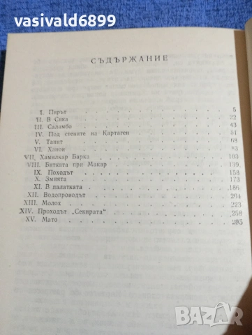 Гюстав Флобер - Саламбо, снимка 5 - Художествена литература - 53911728