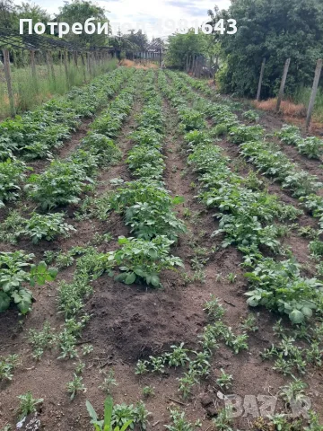 Продавам къща с.Говедаре, снимка 3 - Къщи - 56544002