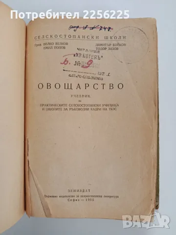 Овощарство 1955г, снимка 9 - Специализирана литература - 56271266