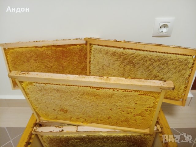 пчелен мед от производител 2023г, снимка 9 - Пчелни продукти - 27698721