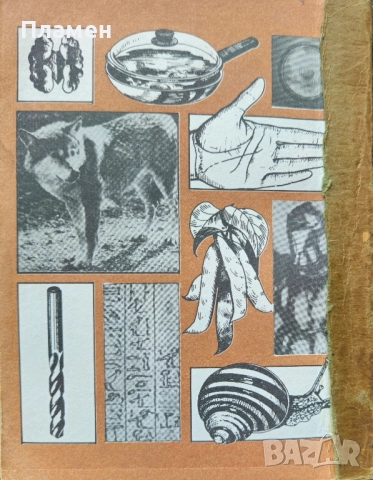 Речник за второ отделение Благовест Сендов, Розалина Новачкова, снимка 5 - Други - 51592060