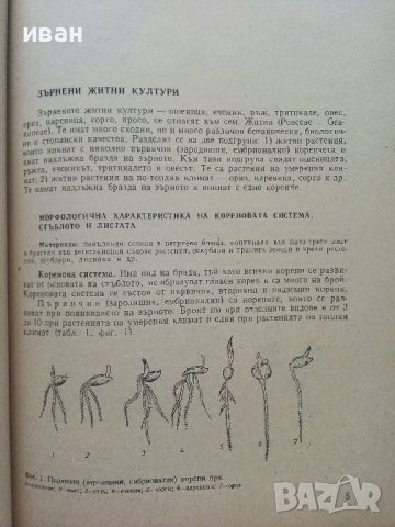 Ръководство за упражнения по полевъдство с първична преработка - Р.Желев,И.Станев - 1986г., снимка 3 - Специализирана литература - 36936956