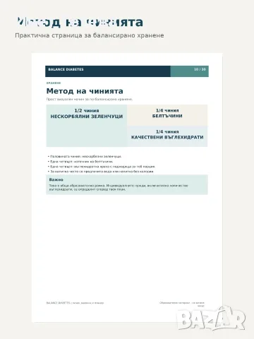BALANCE DIABETES - планер за хора с диабет, 30 стр. PDF, снимка 4 - Други услуги - 55792457