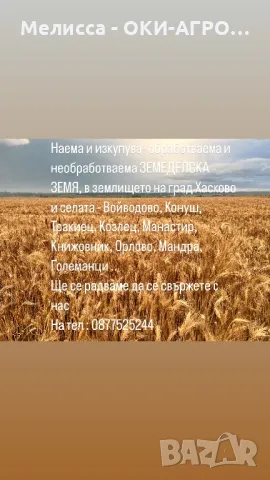 ОКИ-АГРО ЕООД - НАЕМА И ИЗКУПУВА ЗЕМЕДЕЛСКА ЗЕМЯ, снимка 14 - Земеделска земя - 50397987