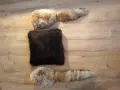 Обработка на кожи, снимка 3