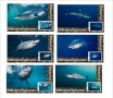 Чисти блокове Фауна Акула Мако 2020 от Тонго
