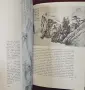 Chinese Art - илюстрирана история, снимка 10